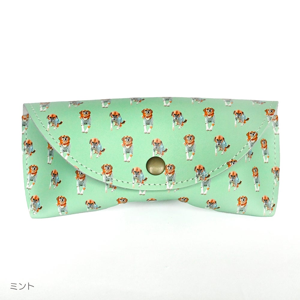 Glasses case