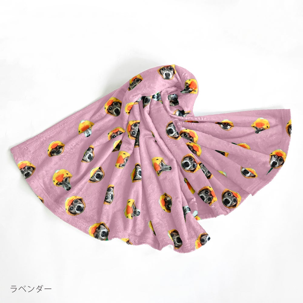 blanket
