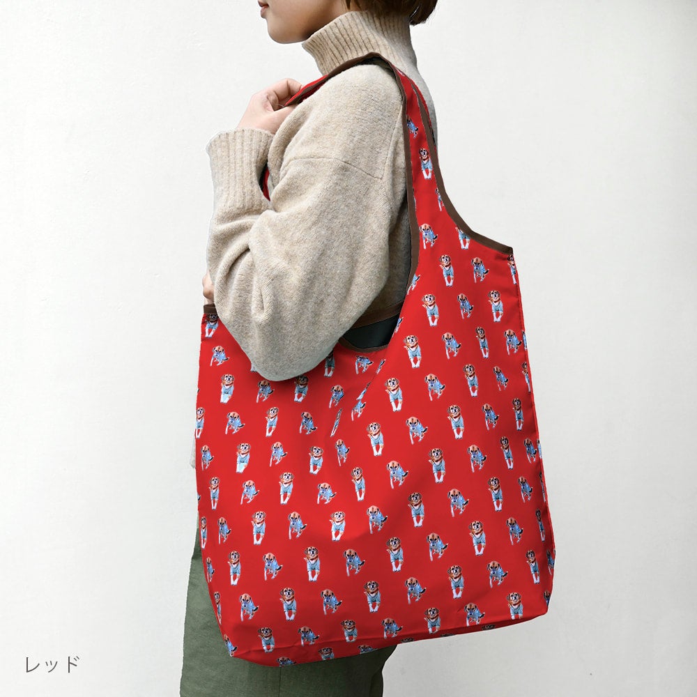 eco bag