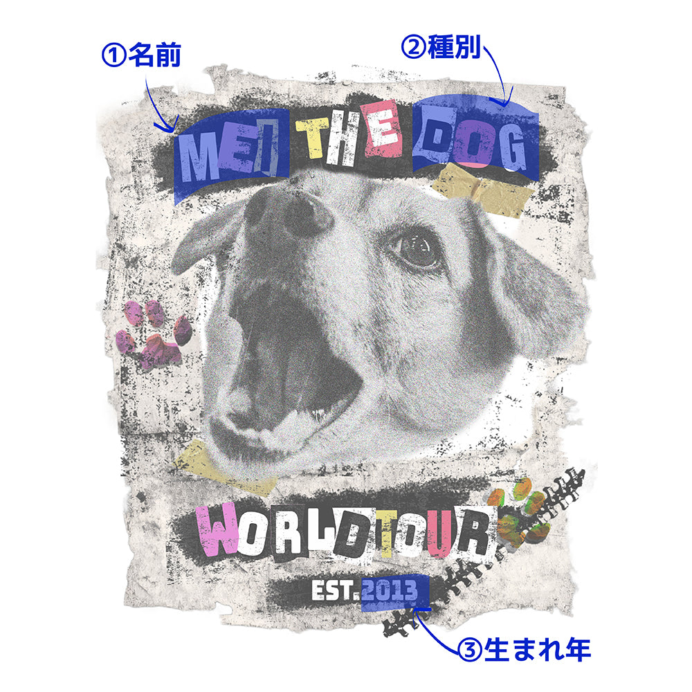 ［限定販売］バンドTシャツ