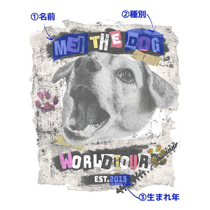 ［限定販売］バンドTシャツ