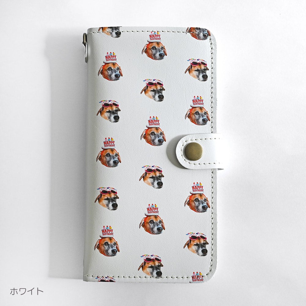 Smartphone case