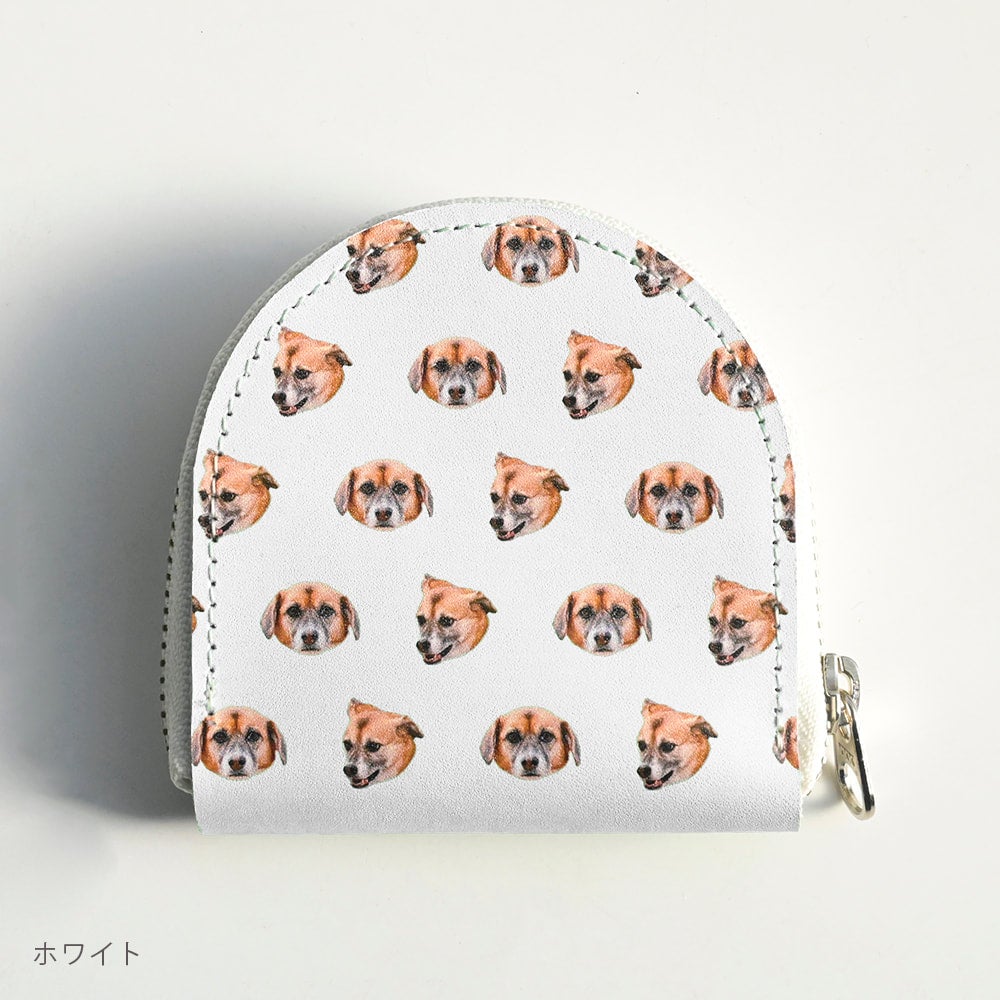 Coin case
