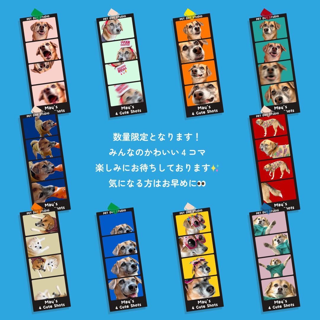 [限定販売] 4コマタンブラー