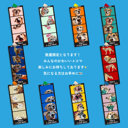 [限定販売] 4コマタンブラー