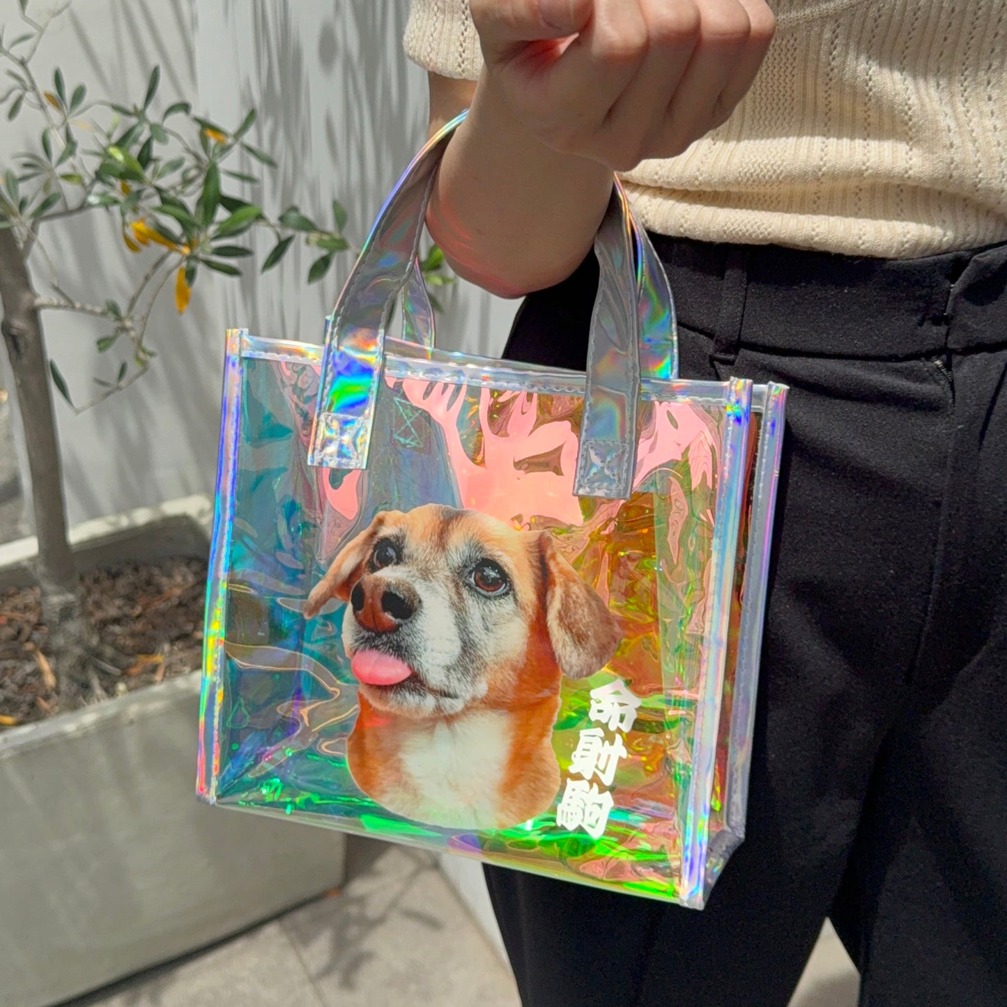 オーロラお散歩バッグ