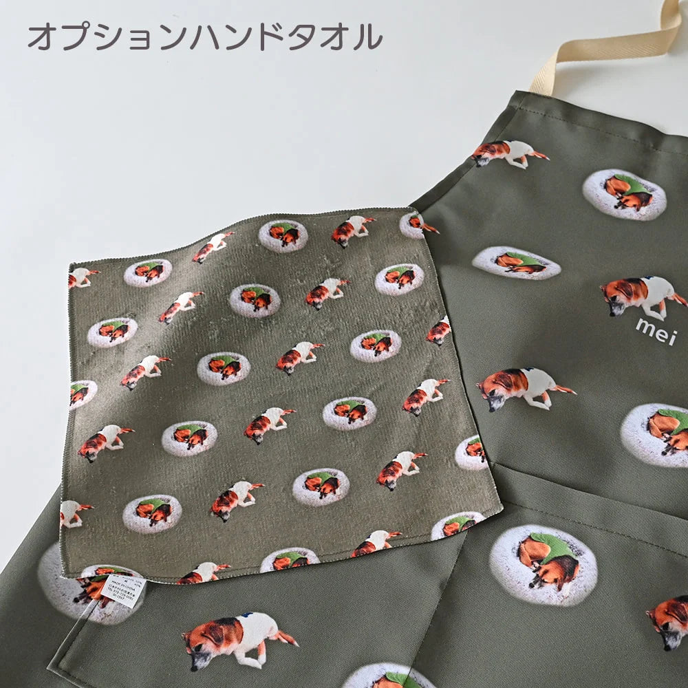 apron