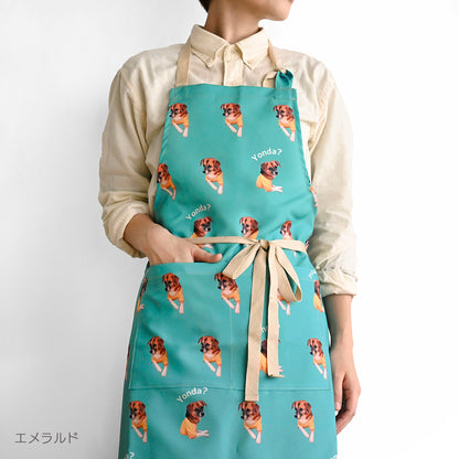 apron