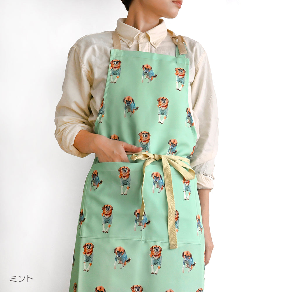 apron