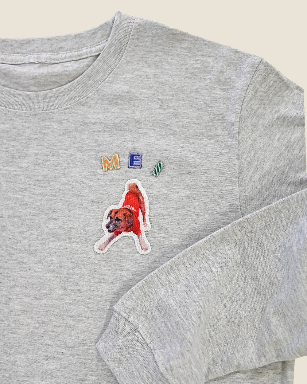 [限定販売]ロゴワッペンロンT